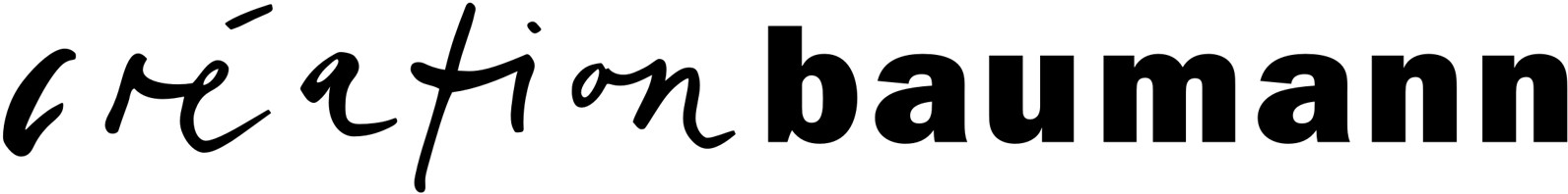 Logo creation Baumann